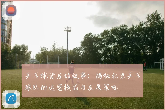 乒乓球背后的故事：揭秘北京乒乓球队的运营模式与发展策略